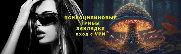 хмурый Алексеевка