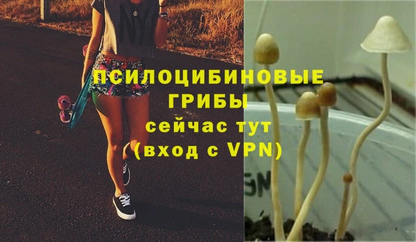 хмурый Алзамай