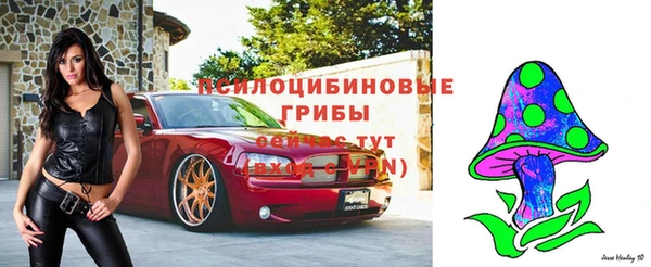 хмурый Алзамай