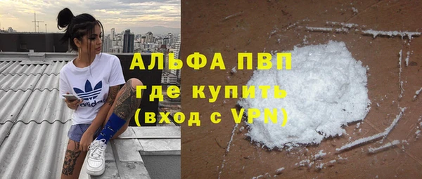 хмурый Алзамай