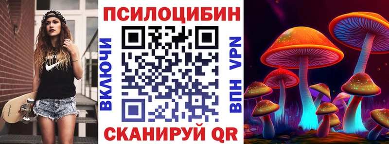 где можно купить   Архангельск  Псилоцибиновые грибы Cubensis 
