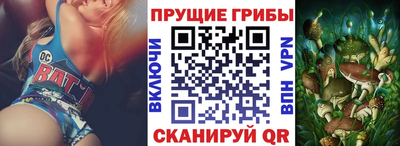 Псилоцибиновые грибы GOLDEN TEACHER Архангельск