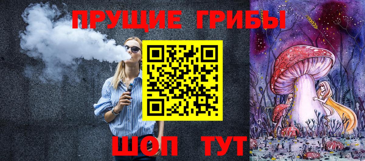 Галлюциногенные грибы Psilocybe Архангельск